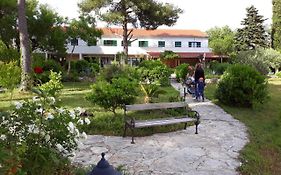 Bed&Breakfast Kleine Hexe